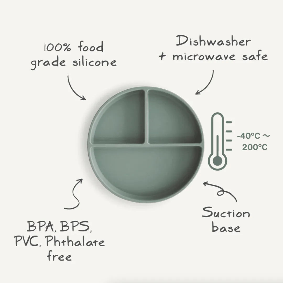 suction plate