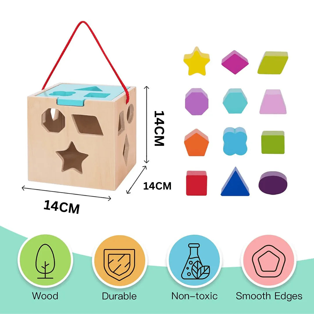 Shape Sorter Toy