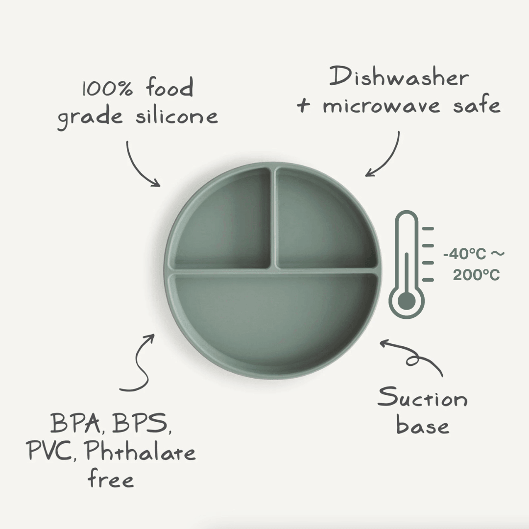 Divided_Plate_with_Suction_Base