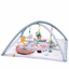 Baby Activity Gym