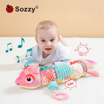 Baby Sensory Toy 