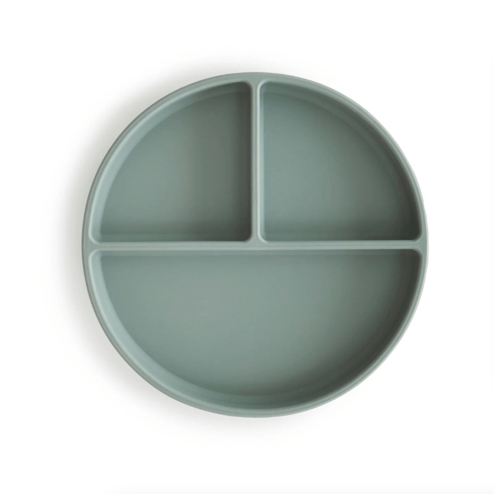 suction plate