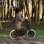 trainer-balance-bike-with-footrest-black
